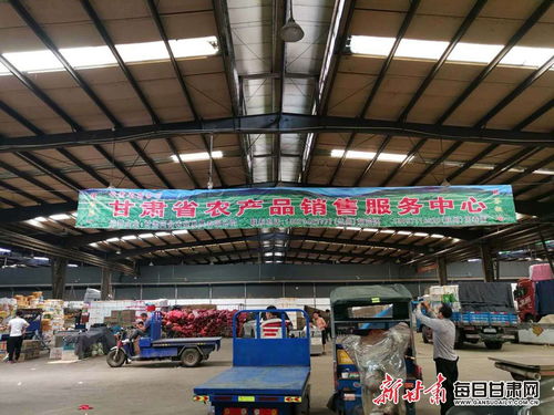 不僅要產(chǎn)得好,還要賣得好 金昌高原夏菜產(chǎn)銷兩旺